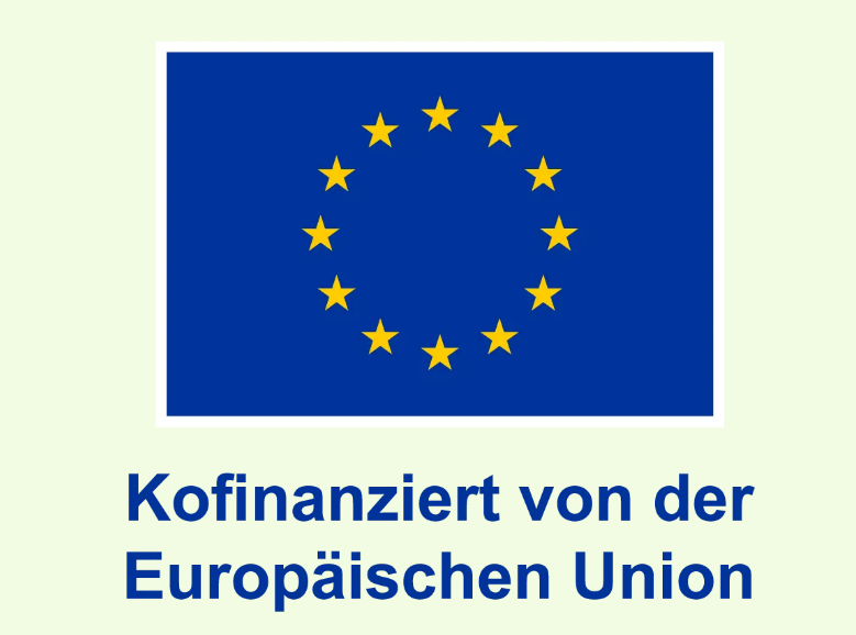Logo AMIF EU
